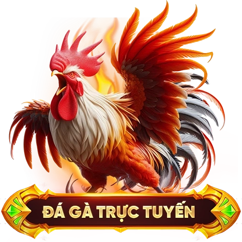 đá gà trực tuyến ZBET